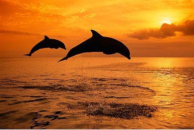 5款未来《刺客信条》公布：中国+日本+恐怖+多人游戏