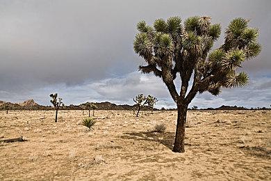 Rocksteady《蝙蝠侠》新作虚幻5打造 还登下一代主机